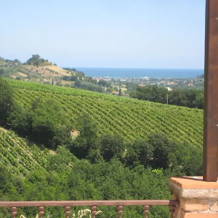 La Campana Montefiore dellʼAso