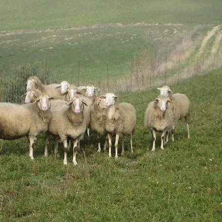 Agriturismo La Campana